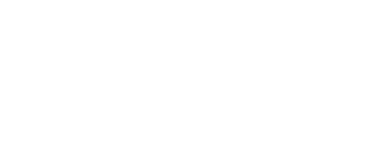 CPE Lyon