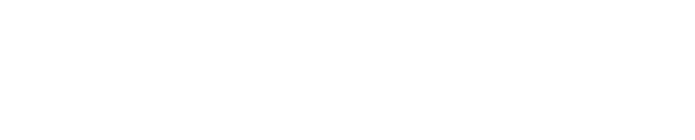 IAE Lyon